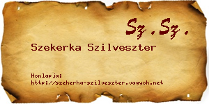 Szekerka Szilveszter névjegykártya